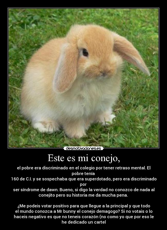 carteles bunny vuelve carga dedicado ese gran tipo que saca mis casillas desmotivaciones