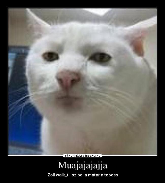 Muajajajajja - Zoll walk_t i oz boi a matar a toooss