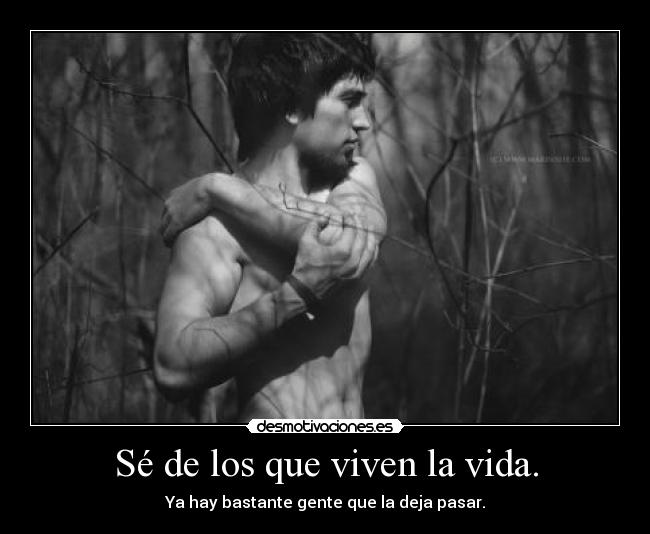 carteles vida clanvirus desmotivaciones