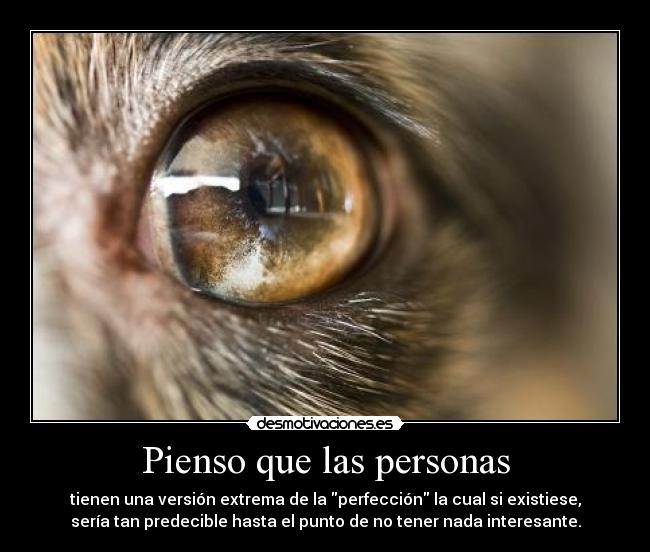 Pienso que las personas -