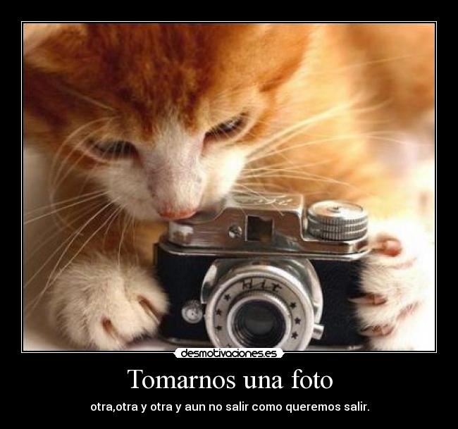 carteles buuuuu desmotivaciones