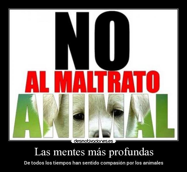 carteles por favor cuidalos los maltrates desmotivaciones