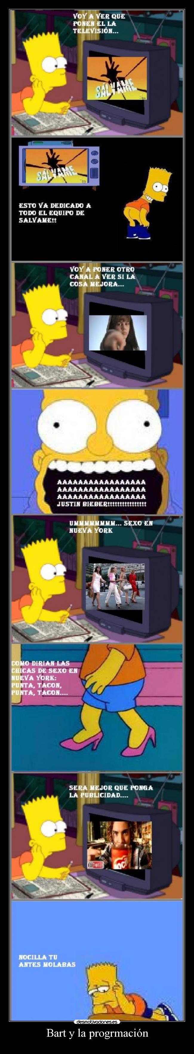 Bart y la progrmación -