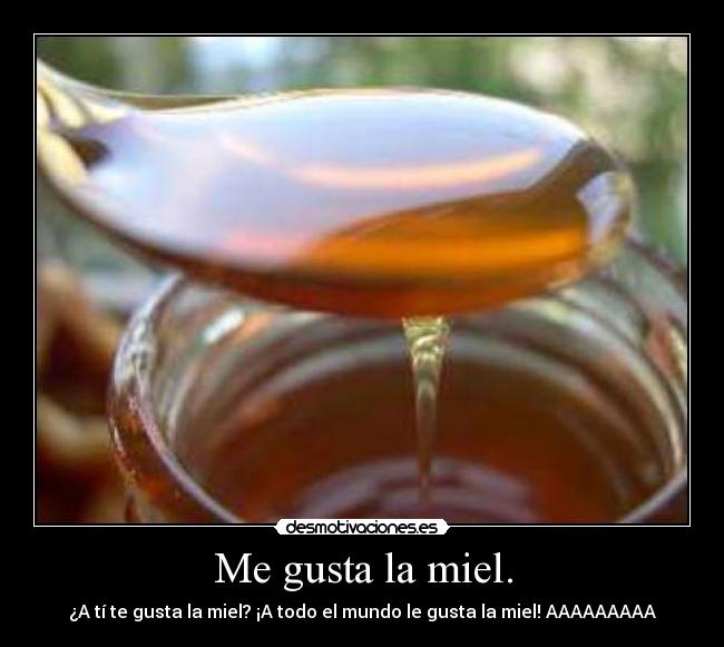 Me gusta la miel. - ¿A tí te gusta la miel? ¡A todo el mundo le gusta la miel! AAAAAAAAA
