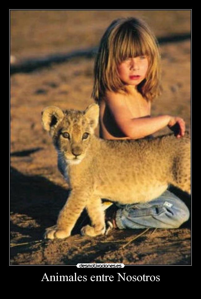 carteles animales kxxveroxxk desmotivaciones