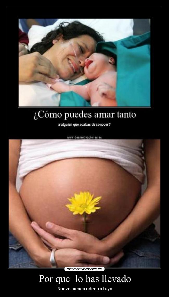Por que  lo has llevado - Nueve meses adentro tuyo