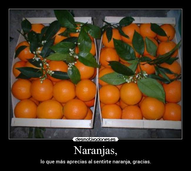 Naranjas, - lo que más aprecias al sentirte naranja, gracias.