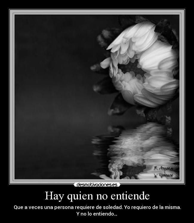 Hay quien no entiende - Que a veces una persona requiere de soledad. Yo requiero de la misma.
Y no lo entiendo…