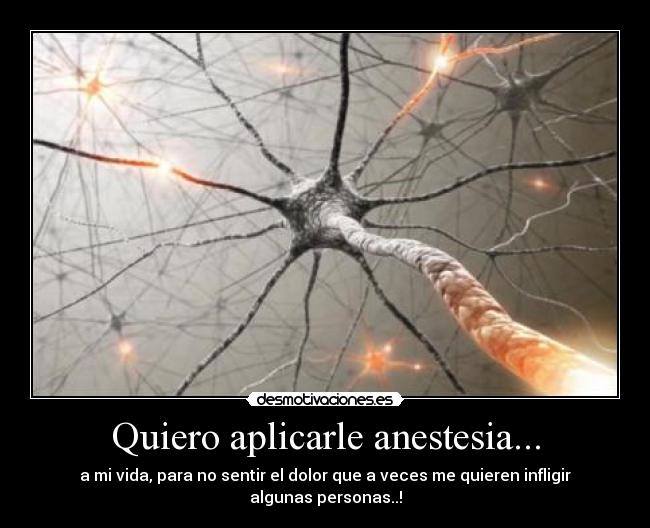 carteles anestesia dolor vida sentimiento desmotivaciones