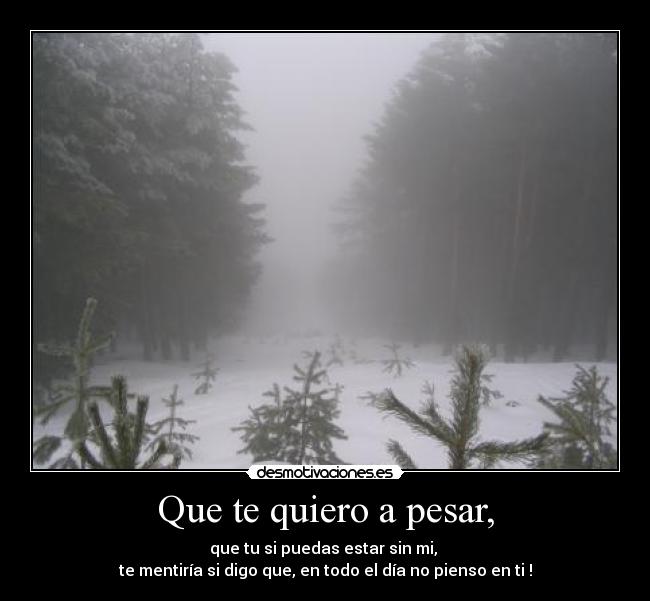 Que te quiero a pesar, - que tu si puedas estar sin mi,
te mentiría si digo que, en todo el día no pienso en ti !