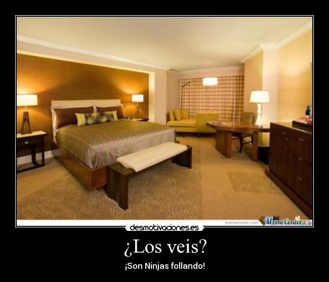 ¿Los veis? - ¡Son Ninjas follando!