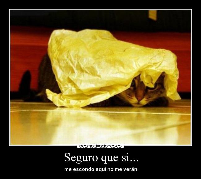 Seguro que si... -
