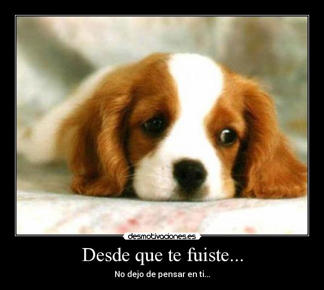 Desde que te fuiste... - No dejo de pensar en ti...