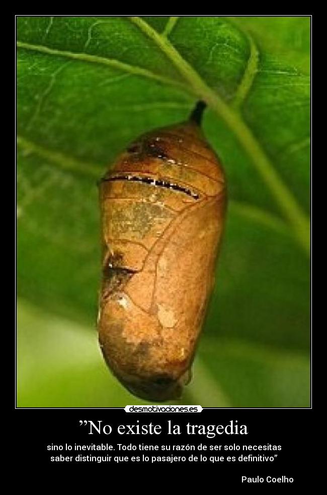 ”No existe la tragedia -