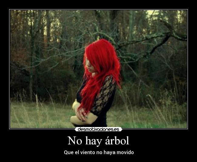 carteles hay arbol desmotivaciones