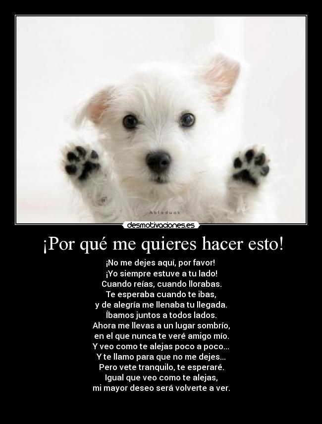 carteles akleduok clanvirus desmotivaciones