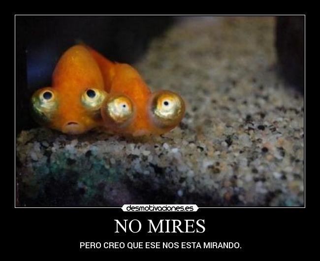 carteles mires desmotivaciones