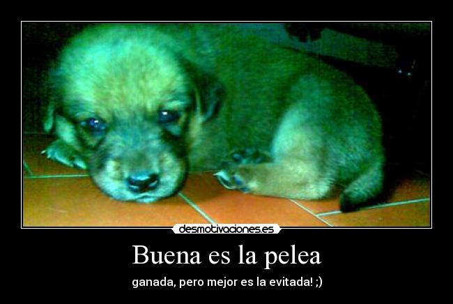 Buena es la pelea - ganada, pero mejor es la evitada! ;)