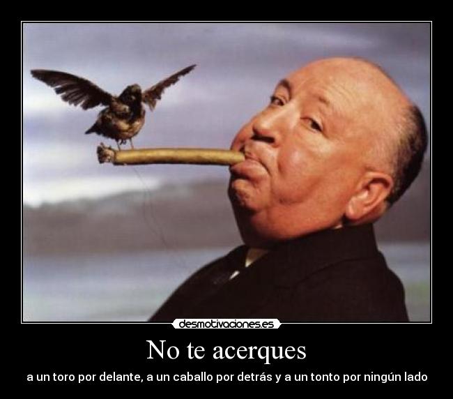 No te acerques - a un toro por delante, a un caballo por detrás y a un tonto por ningún lado