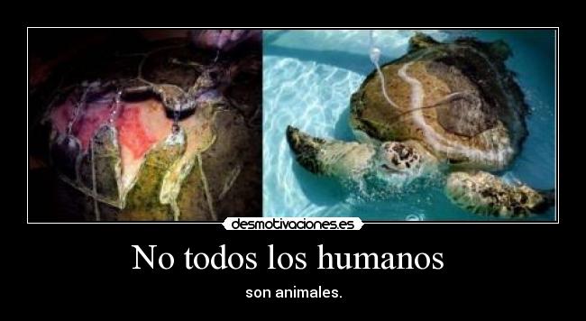 No todos los humanos -