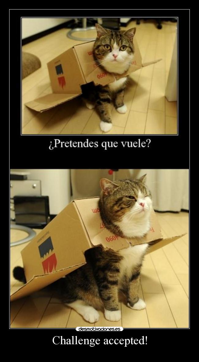 carteles xdd bien cartel chorra gatosvoladooor desmotivaciones