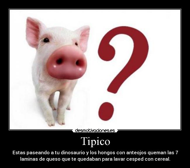 Tipico -