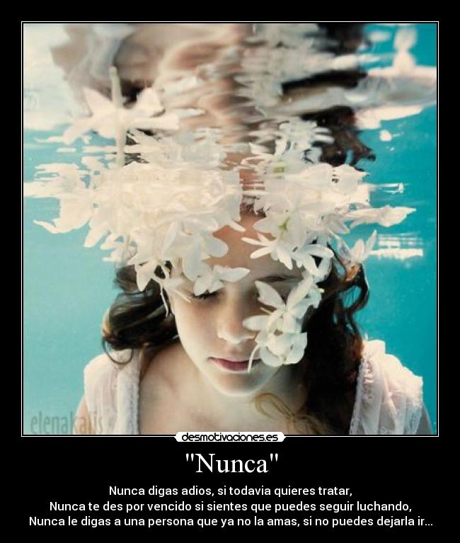 Nunca - Nunca digas adios, si todavia quieres tratar,
Nunca te des por vencido si sientes que puedes seguir luchando,
Nunca le digas a una persona que ya no la amas, si no puedes dejarla ir...