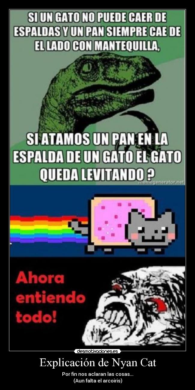 carteles nyan cat explicacion gato pan vuela desmotivaciones