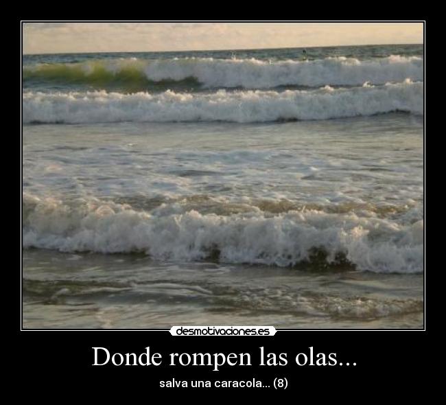 Donde rompen las olas... - salva una caracola... (8)
