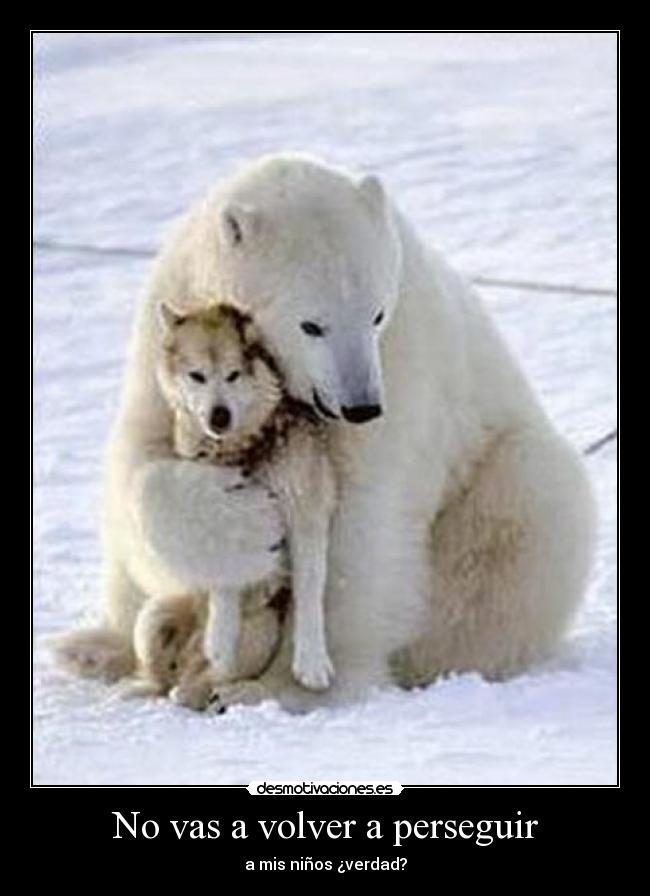 No vas a volver a perseguir - a mis niños ¿verdad?