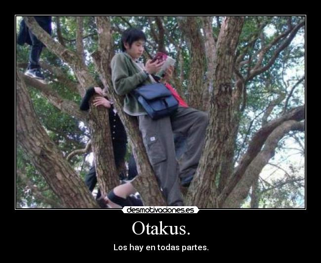 Otakus. - Los hay en todas partes.