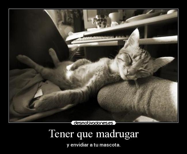 Tener que madrugar -