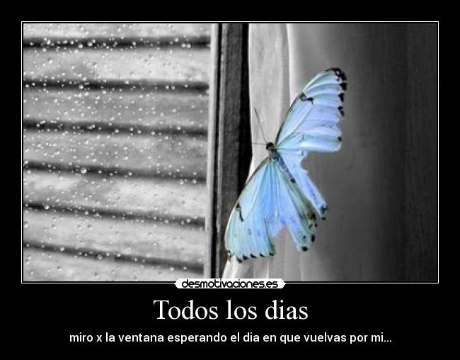 Todos los dias - miro x la ventana esperando el dia en que vuelvas por mi...