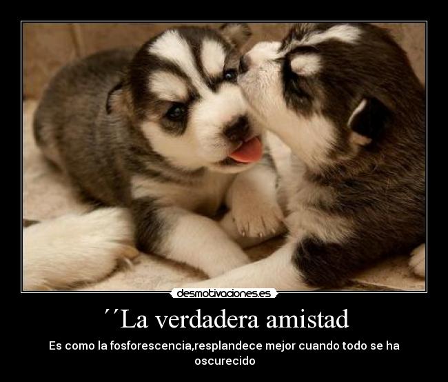 ´´La verdadera amistad - 