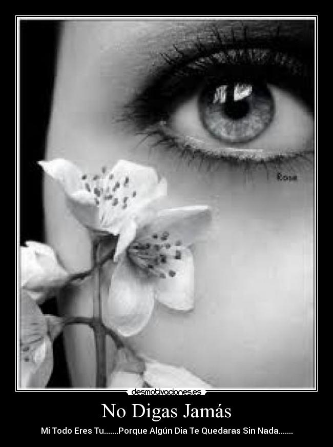 No Digas Jamás - 