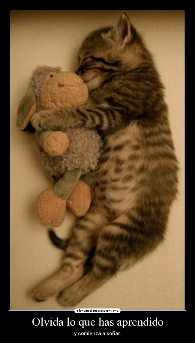 carteles olvida que has aprendido comienza sonar mirar que minino taaaaan cucopor diosme comoo desmotivaciones