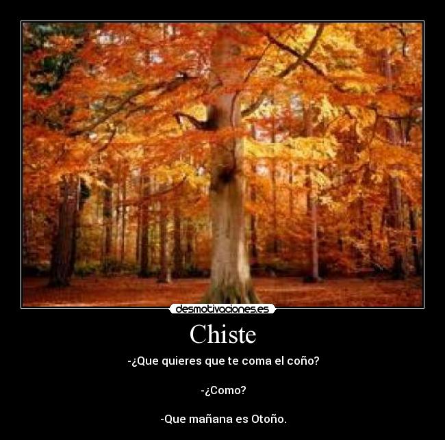 Chiste - 