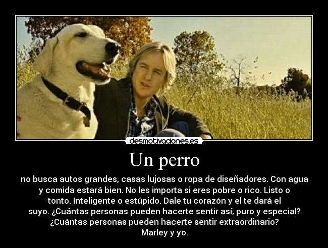 Un perro - no busca autos grandes, casas lujosas o ropa de diseñadores. Con agua
y comida estará bien. No les importa si eres pobre o rico. Listo o
tonto. Inteligente o estúpido. Dale tu corazón y el te dará el
suyo. ¿Cuántas personas pueden hacerte sentir así, puro y especial?
¿Cuántas personas pueden hacerte sentir extraordinario?
Marley y yo.