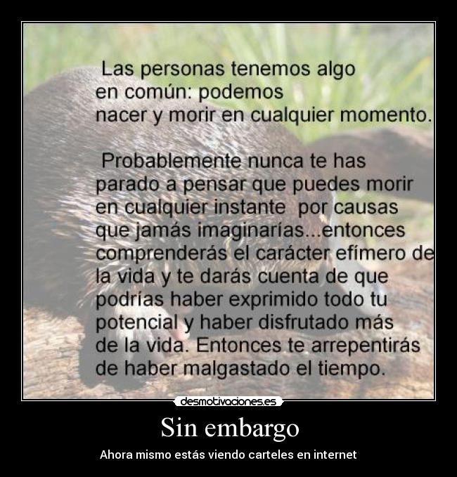 carteles que raro que odioalosgatos suba cartel serio deben ser los efectos secundarios del crack desmotivaciones