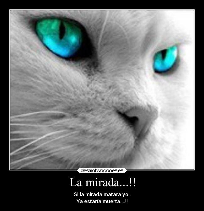 La mirada...!! - Si la mirada matara yo..
Ya estaría muerta....!!