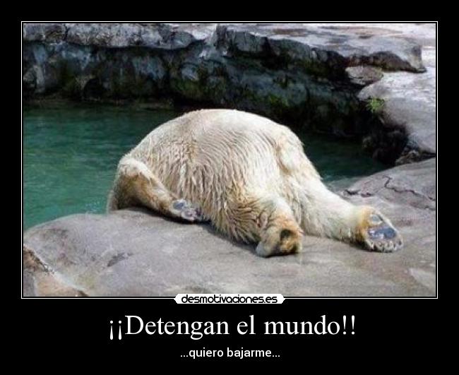 ¡¡Detengan el mundo!! -