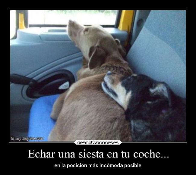 Echar una siesta en tu coche... - 