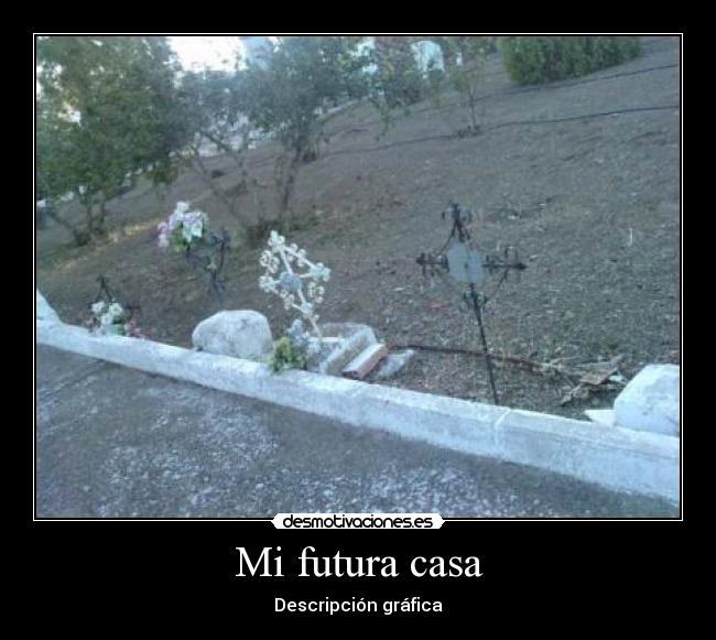Mi futura casa - Descripción gráfica