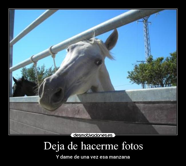 carteles peligro jardinera tiene hambre desmotivaciones