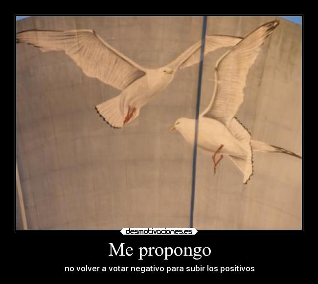 Me propongo - no volver a votar negativo para subir los positivos
