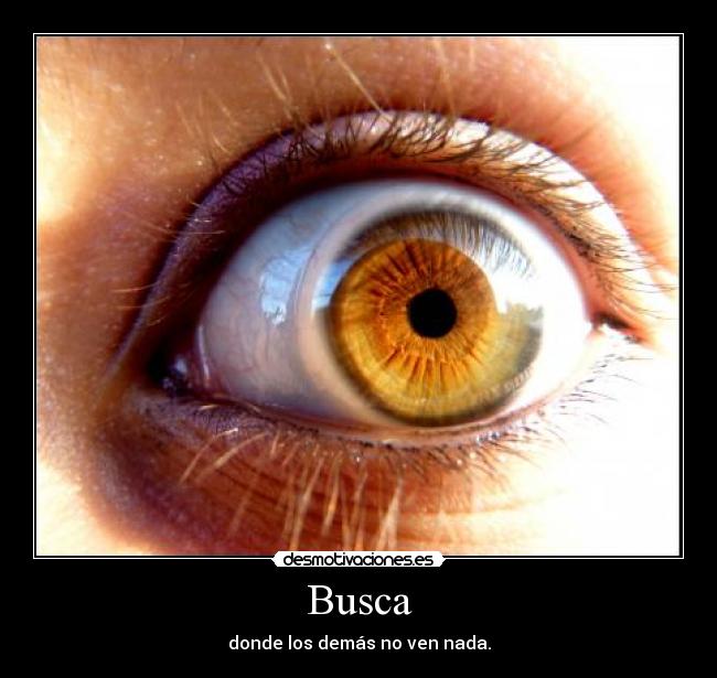 Busca - 