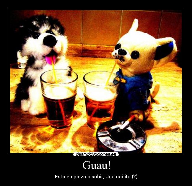 carteles kaatth desmotivaciones