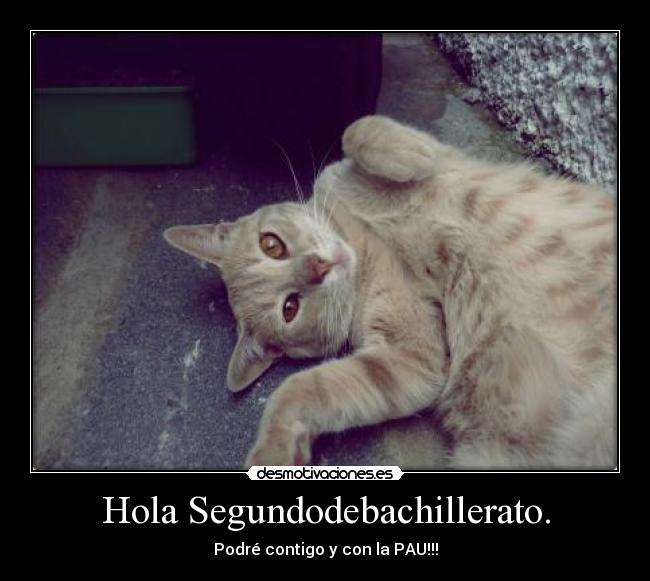 Hola Segundodebachillerato. - Podré contigo y con la PAU!!!