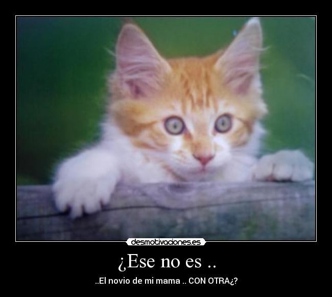 ¿Ese no es .. - 