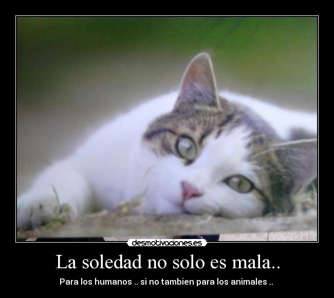 La soledad no solo es mala.. - 